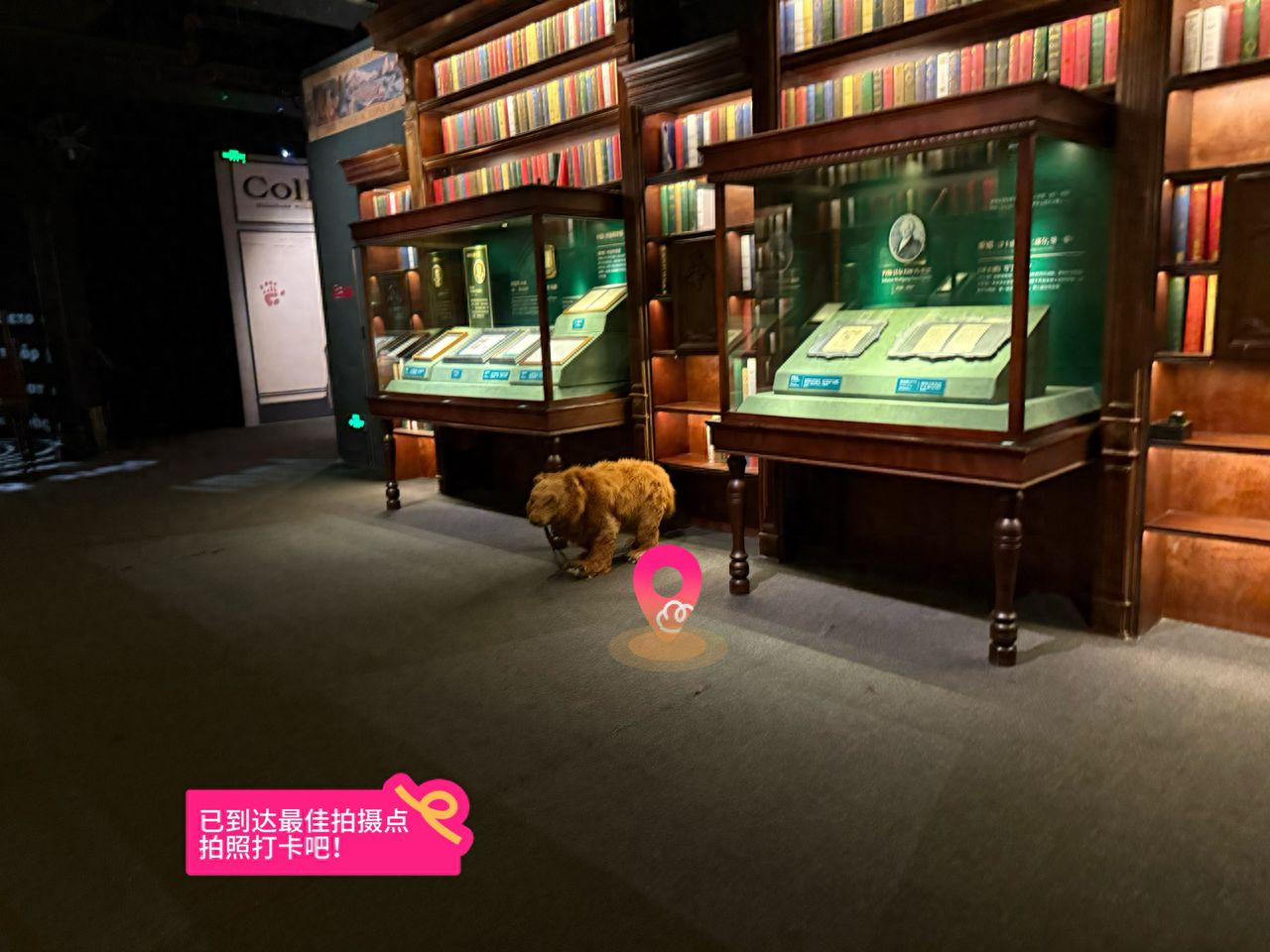 null — step-by-step photo guide