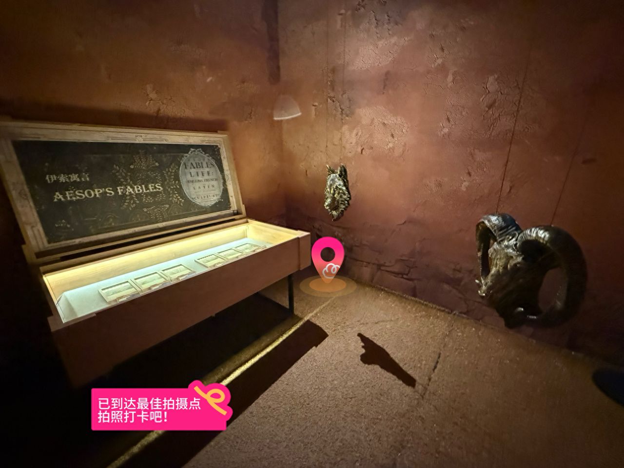 null — step-by-step photo guide