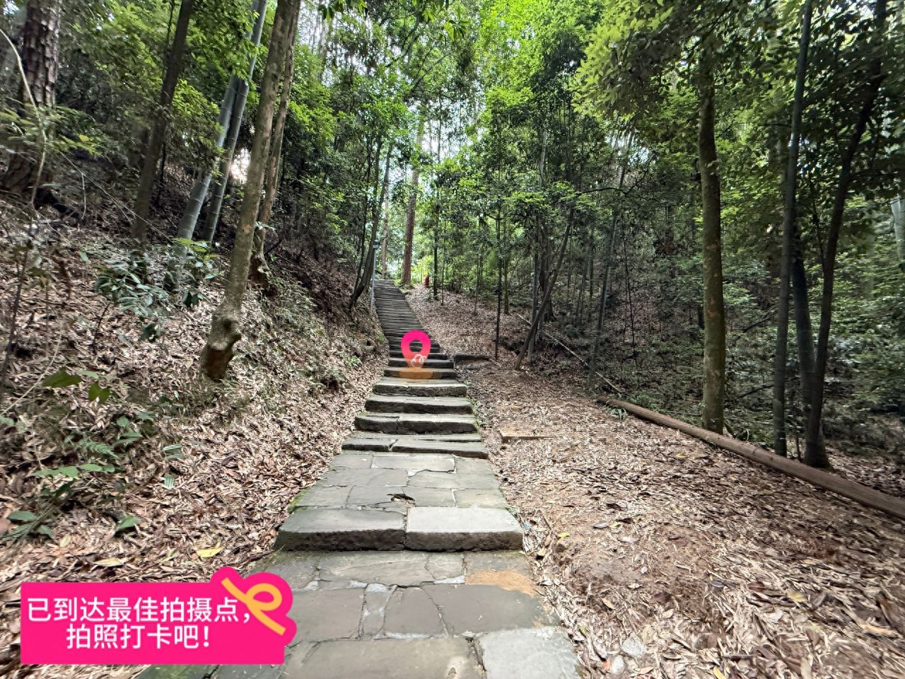 Arrived at the best photography spot. — step-by-step photo guide