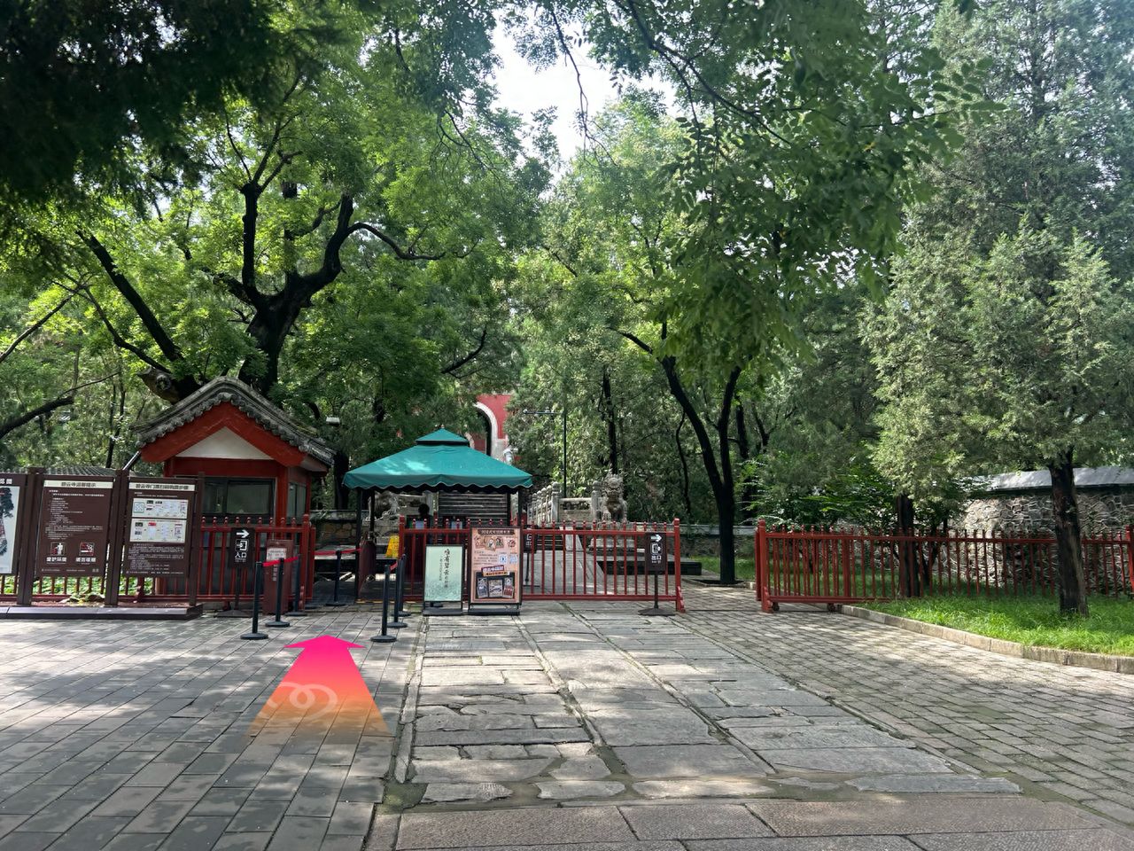 null — step-by-step photo guide