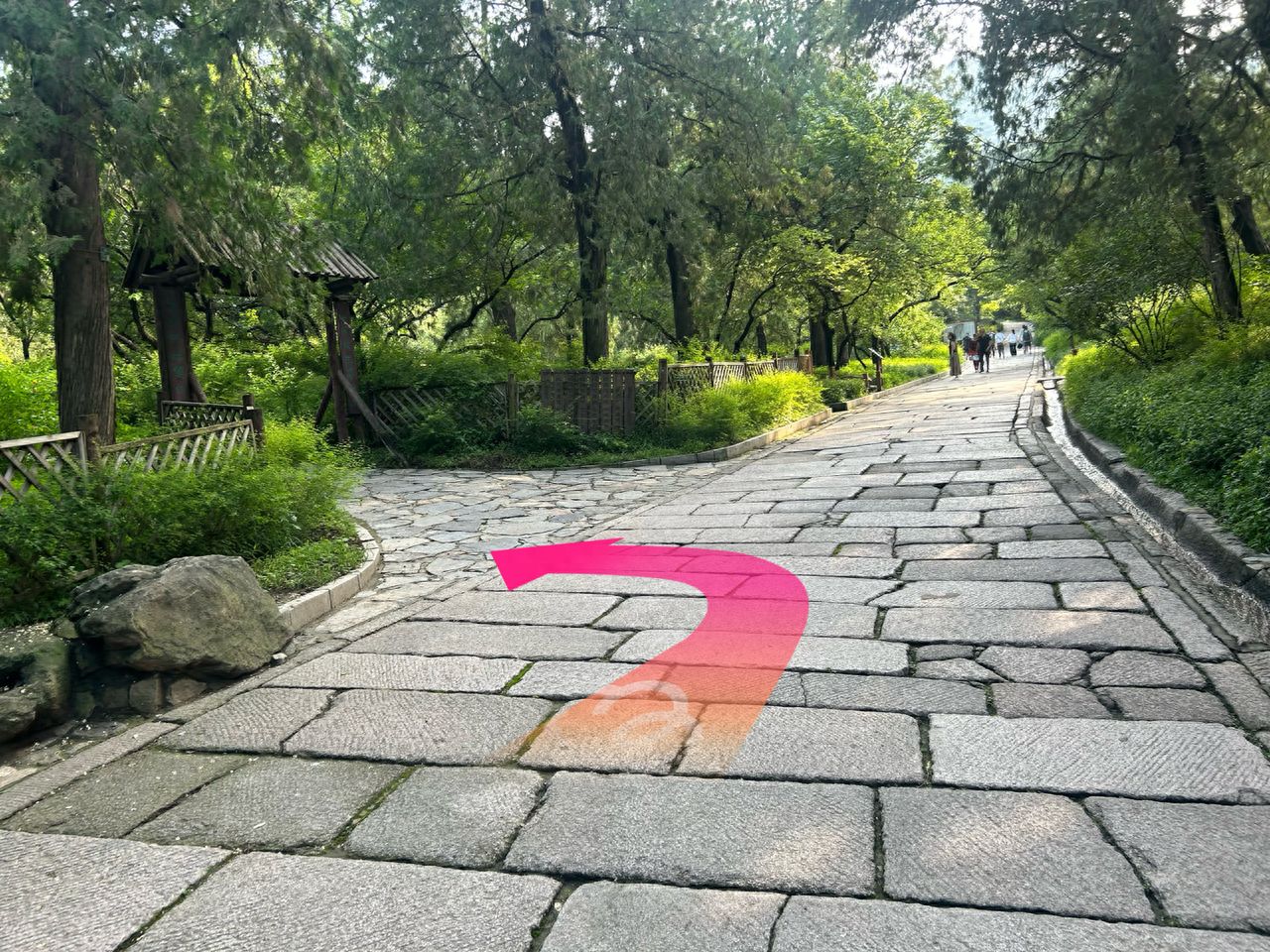 null — step-by-step photo guide