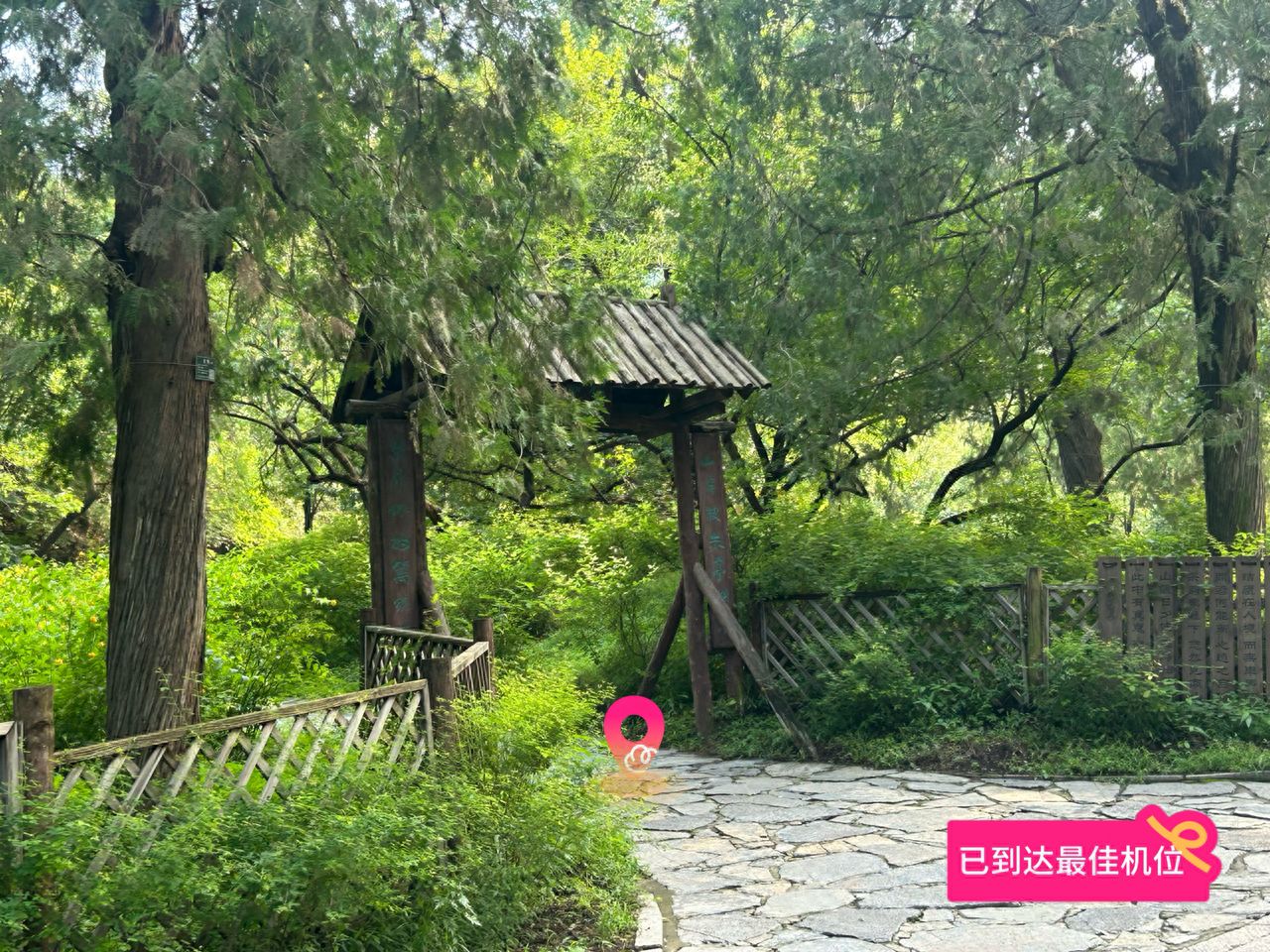 null — step-by-step photo guide