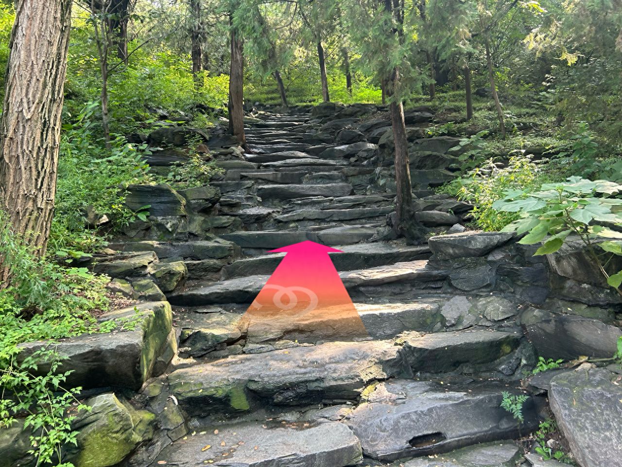 null — step-by-step photo guide