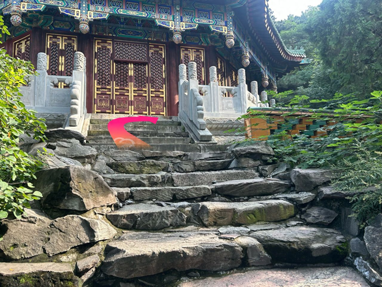 null — step-by-step photo guide