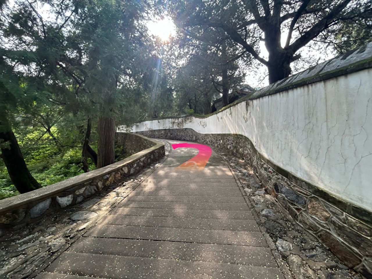 null — step-by-step photo guide