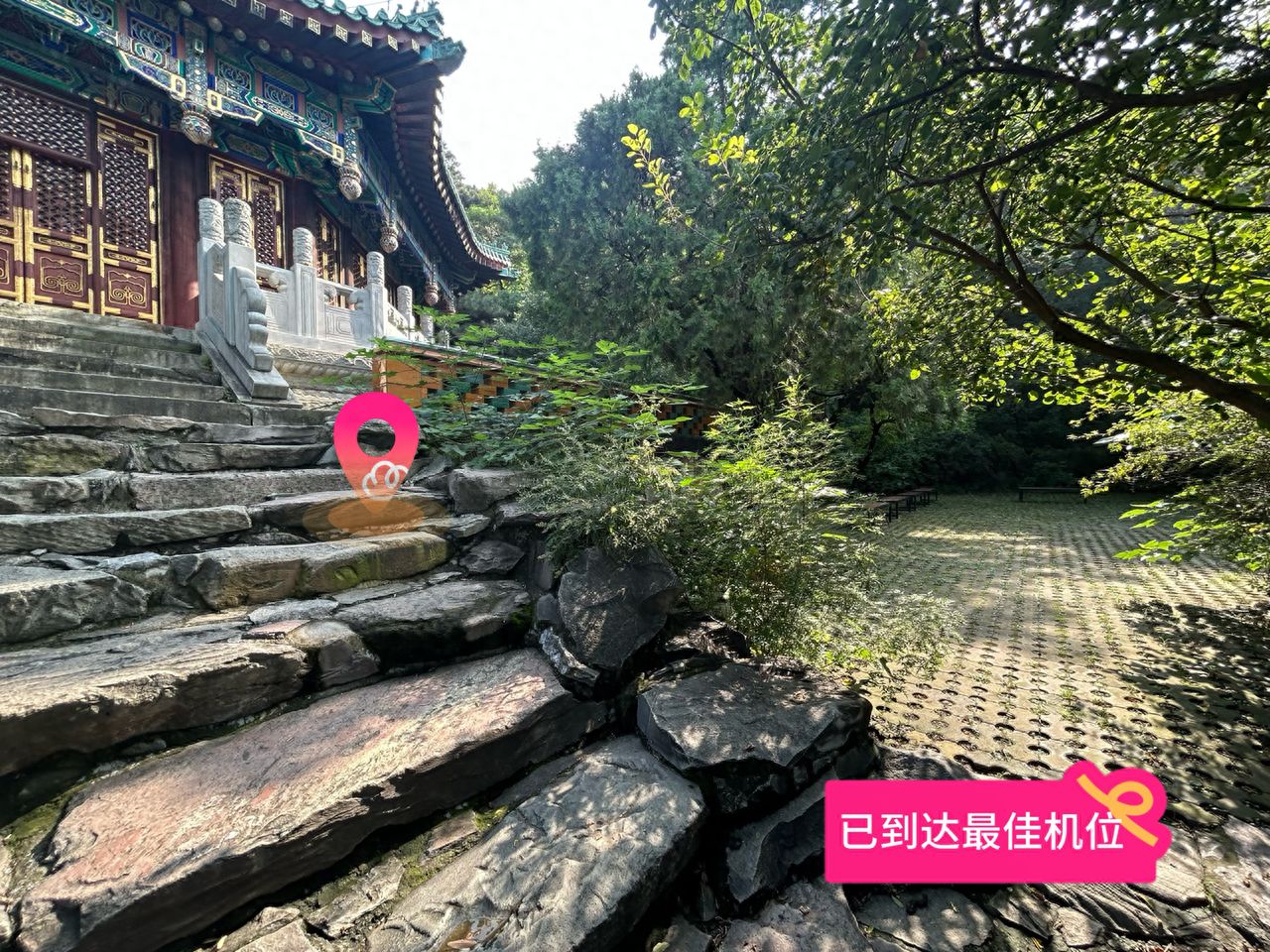 null — step-by-step photo guide