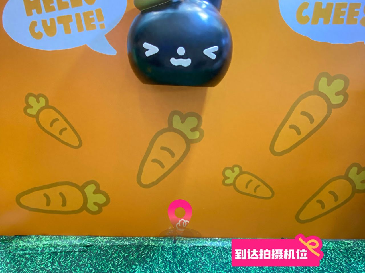 null — step-by-step photo guide