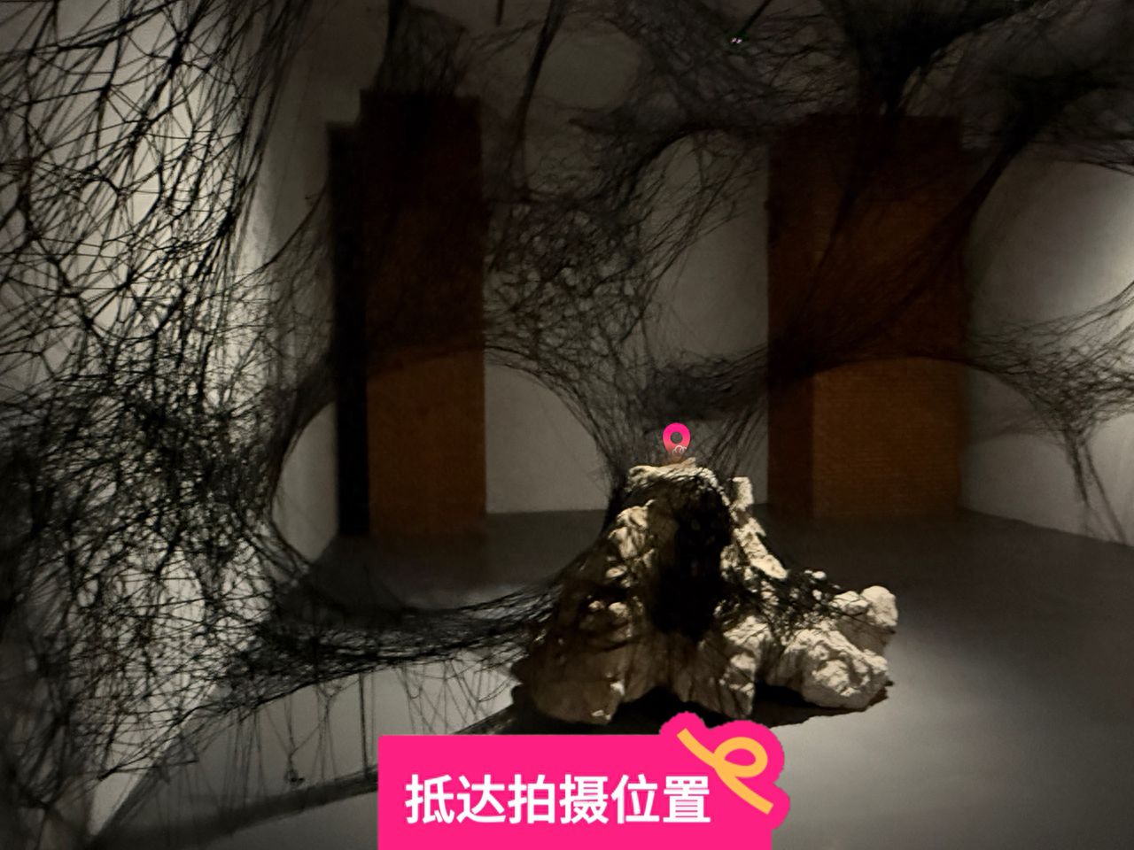 null — step-by-step photo guide