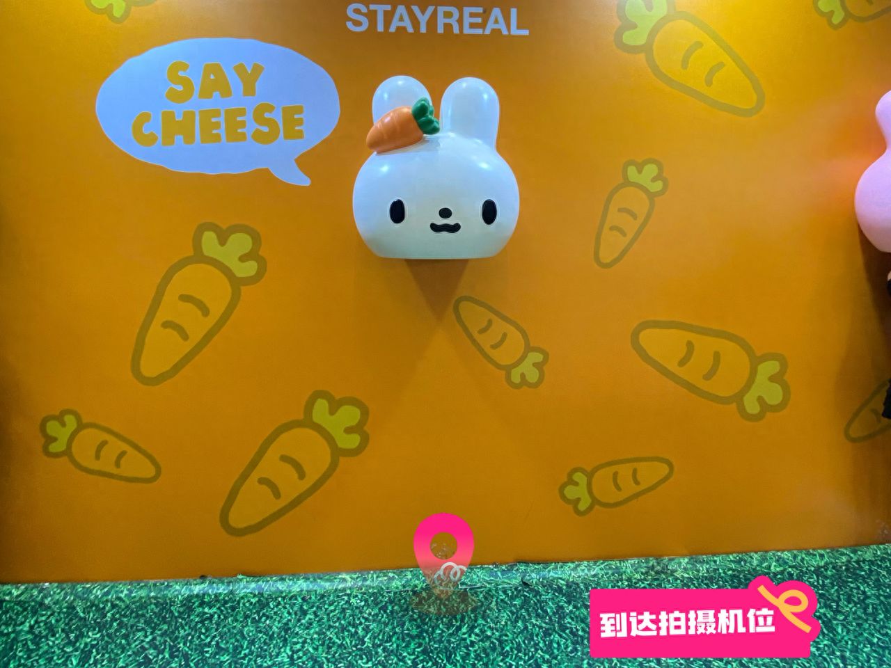 null — step-by-step photo guide