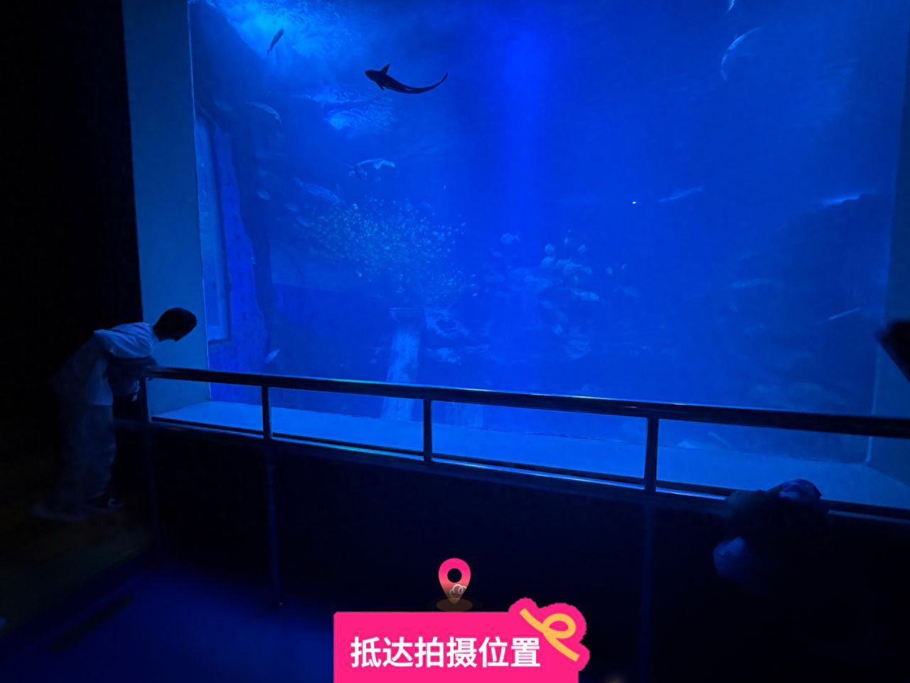 null — step-by-step photo guide