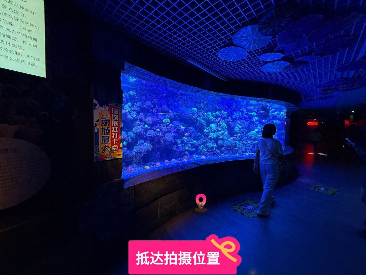 null — step-by-step photo guide