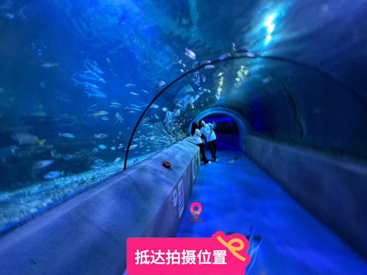 null — step-by-step photo guide