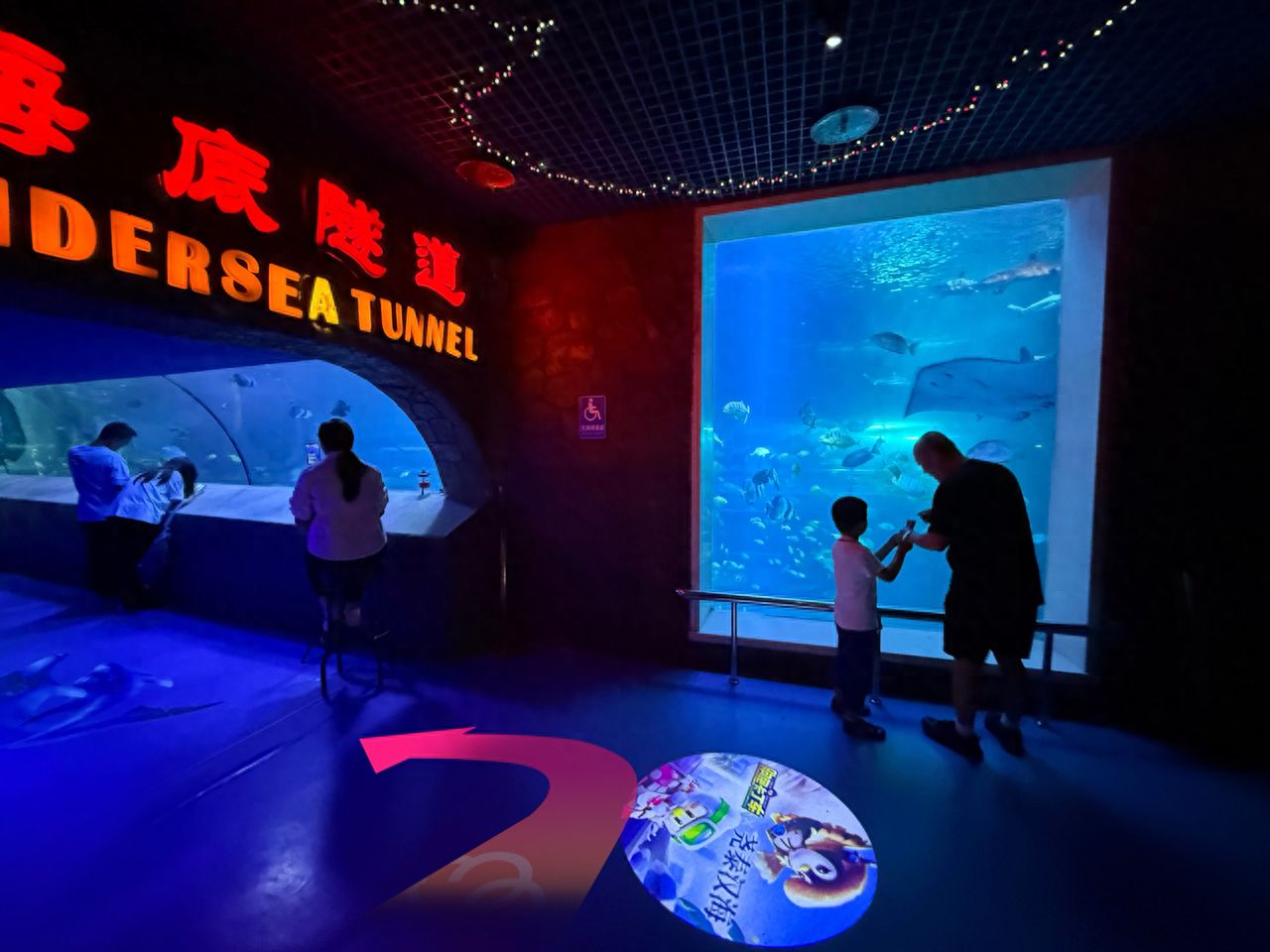 null — step-by-step photo guide