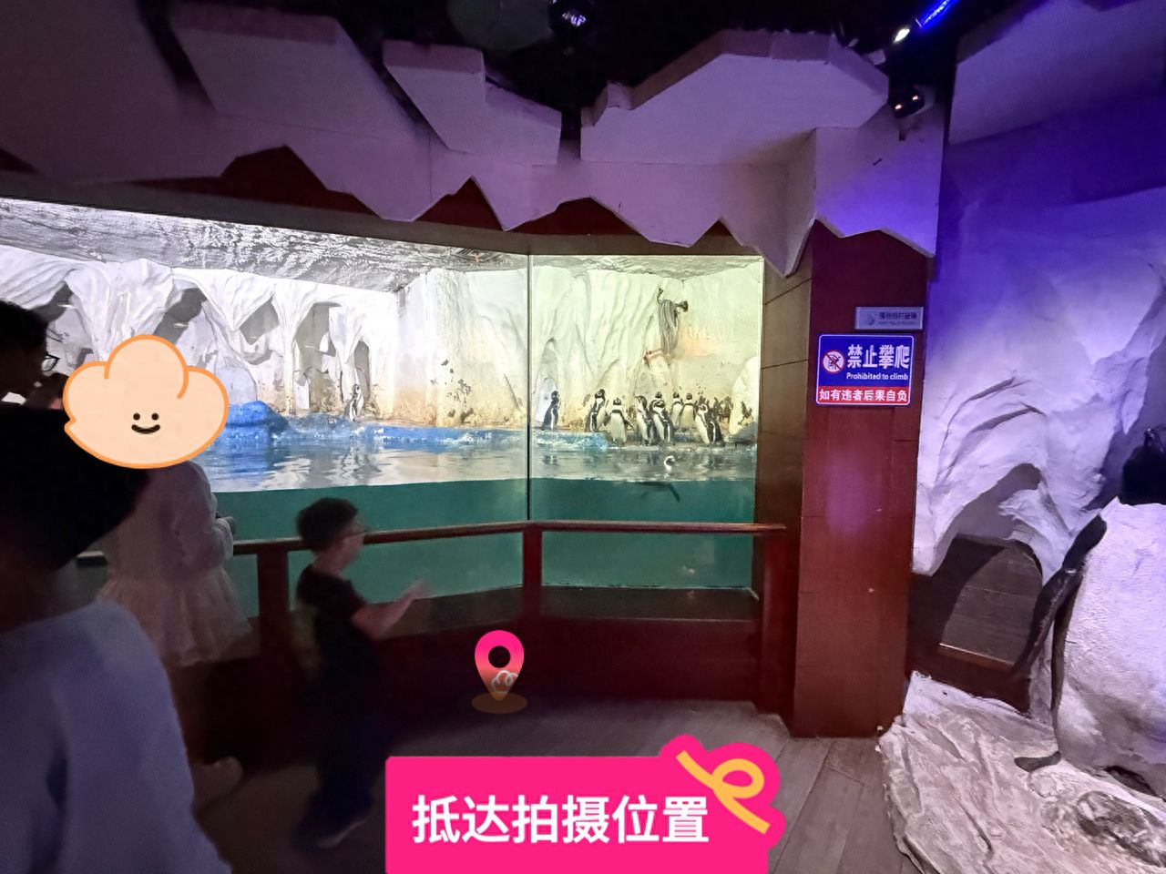 null — step-by-step photo guide