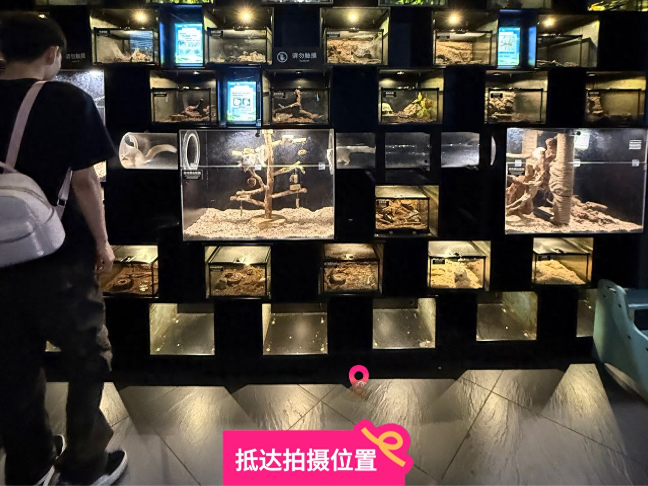 null — step-by-step photo guide