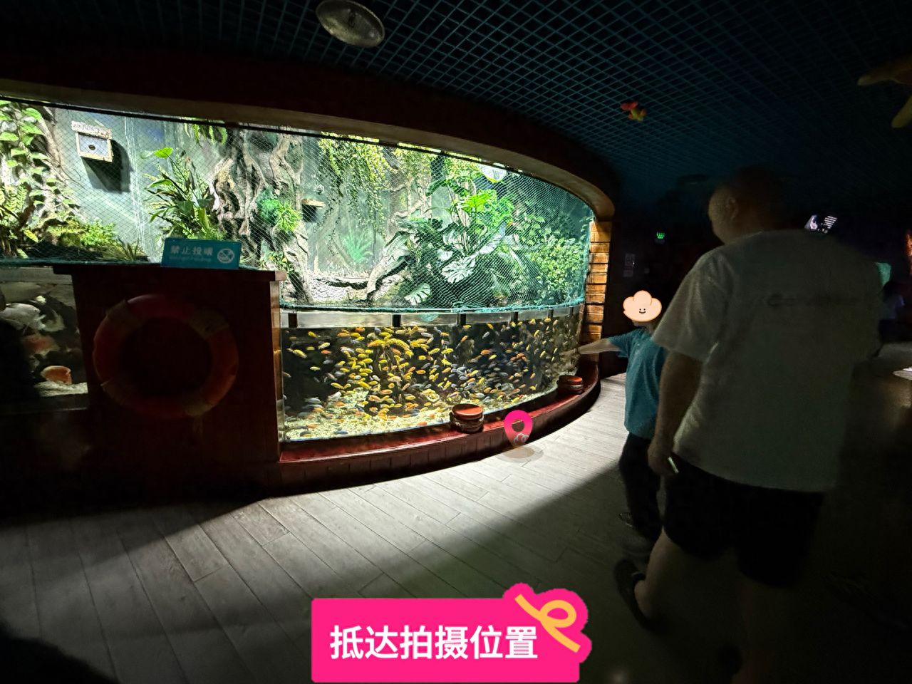 null — step-by-step photo guide