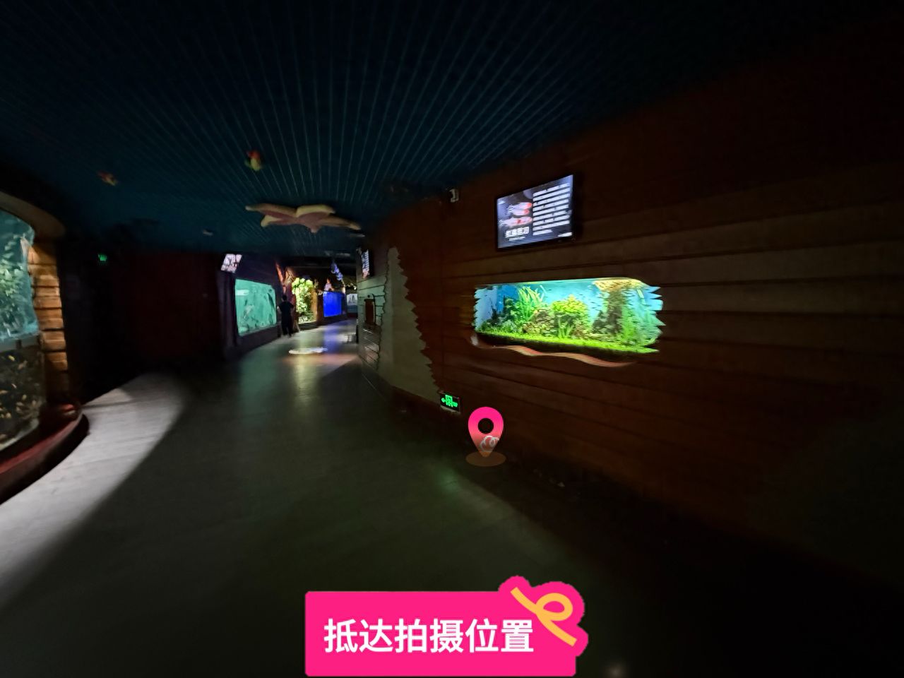 null — step-by-step photo guide