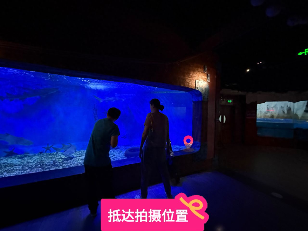 null — step-by-step photo guide