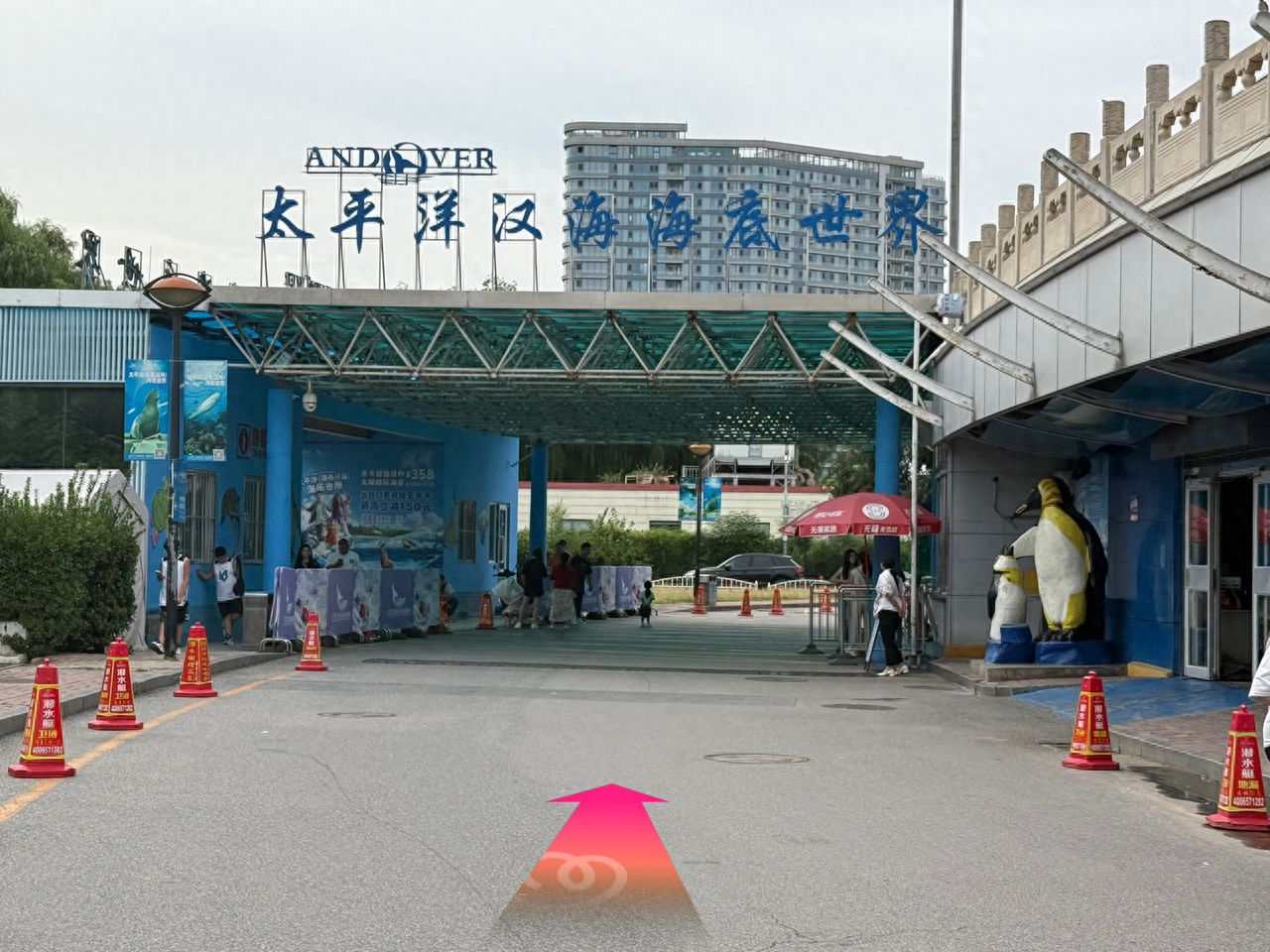 null — step-by-step photo guide