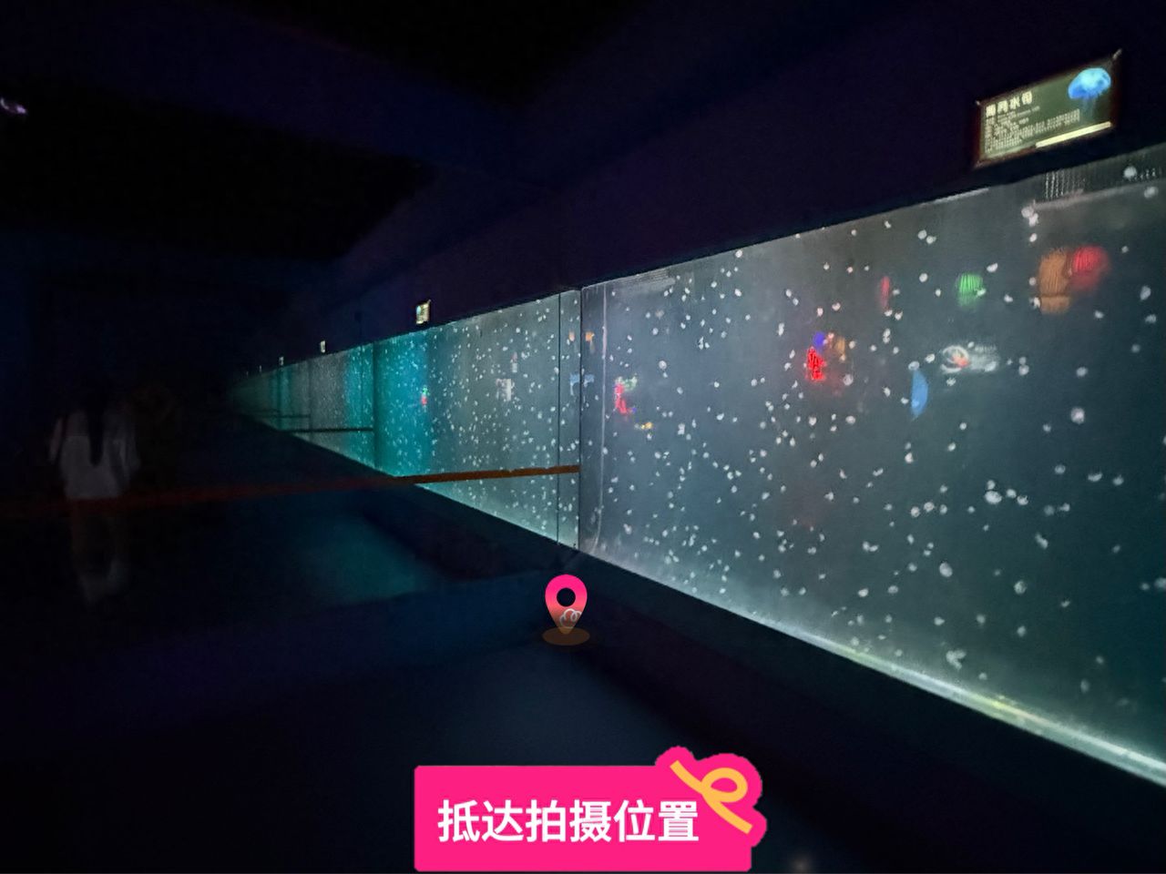 null — step-by-step photo guide