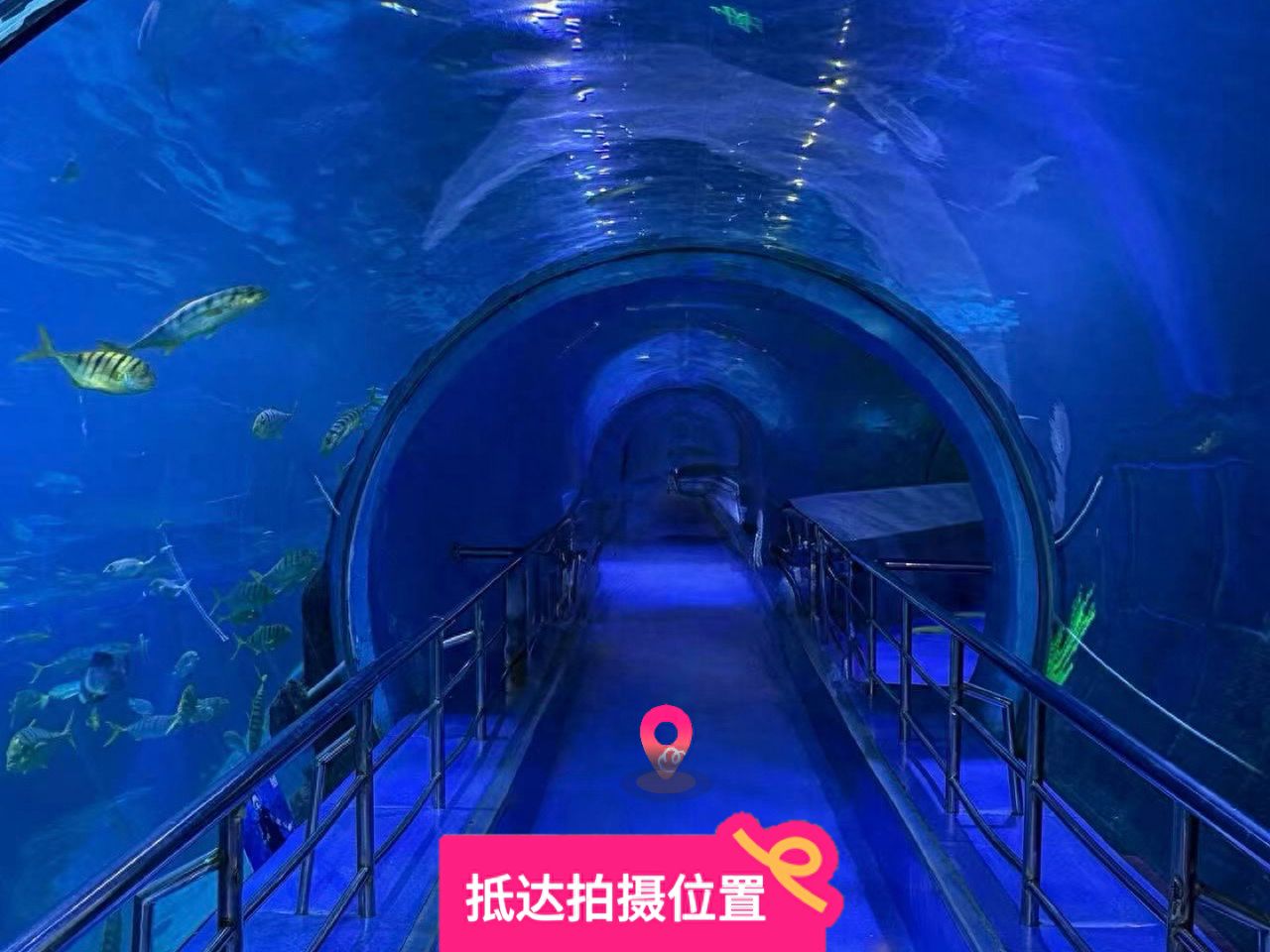 null — step-by-step photo guide