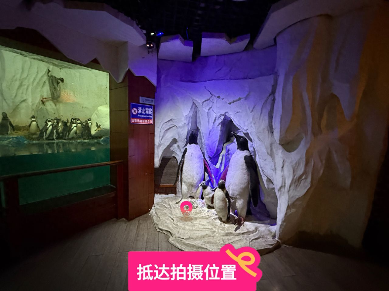 null — step-by-step photo guide