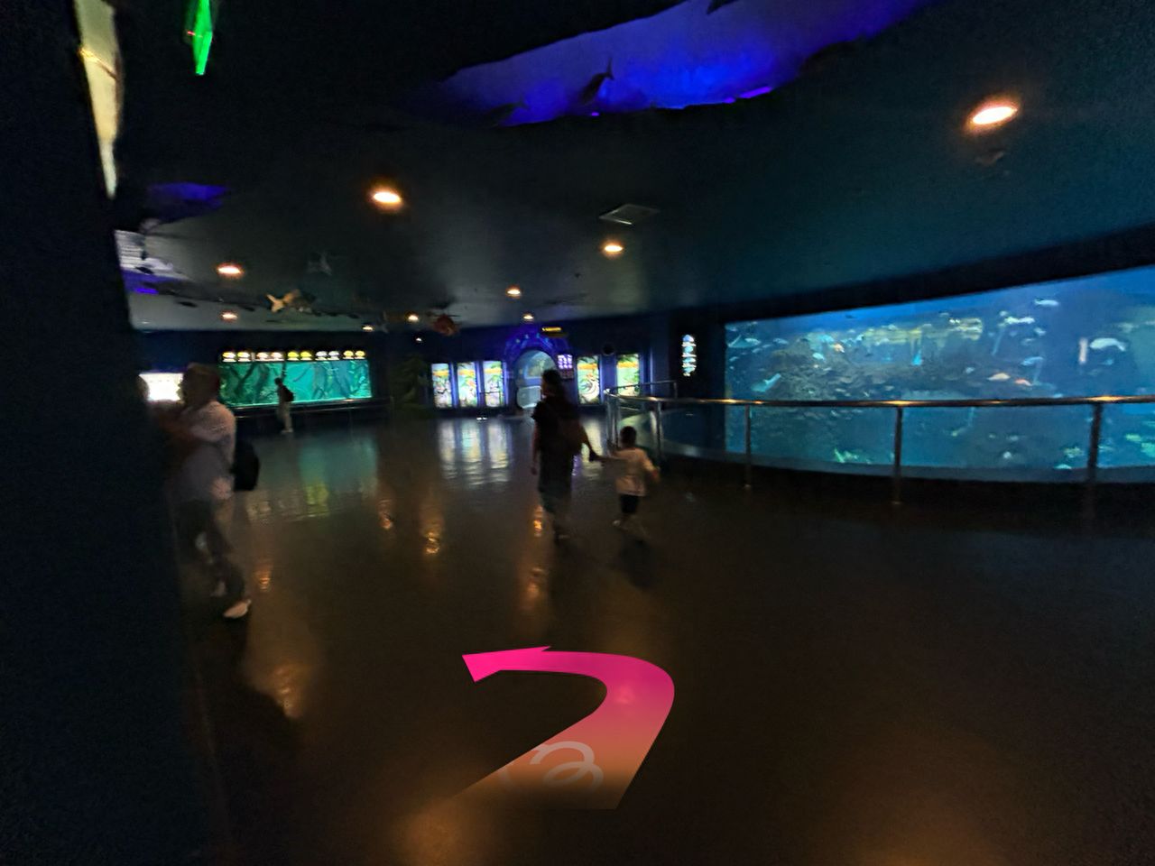 null — step-by-step photo guide