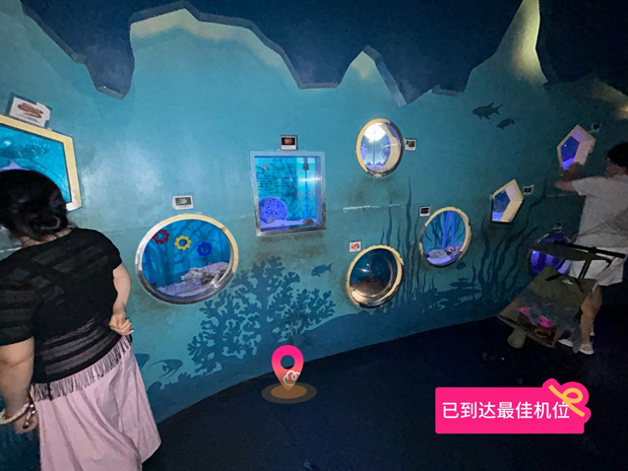 null — step-by-step photo guide