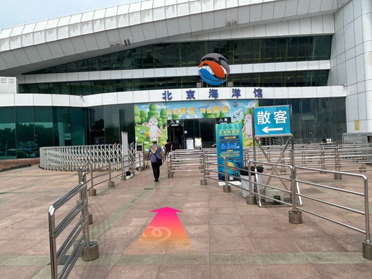 null — step-by-step photo guide