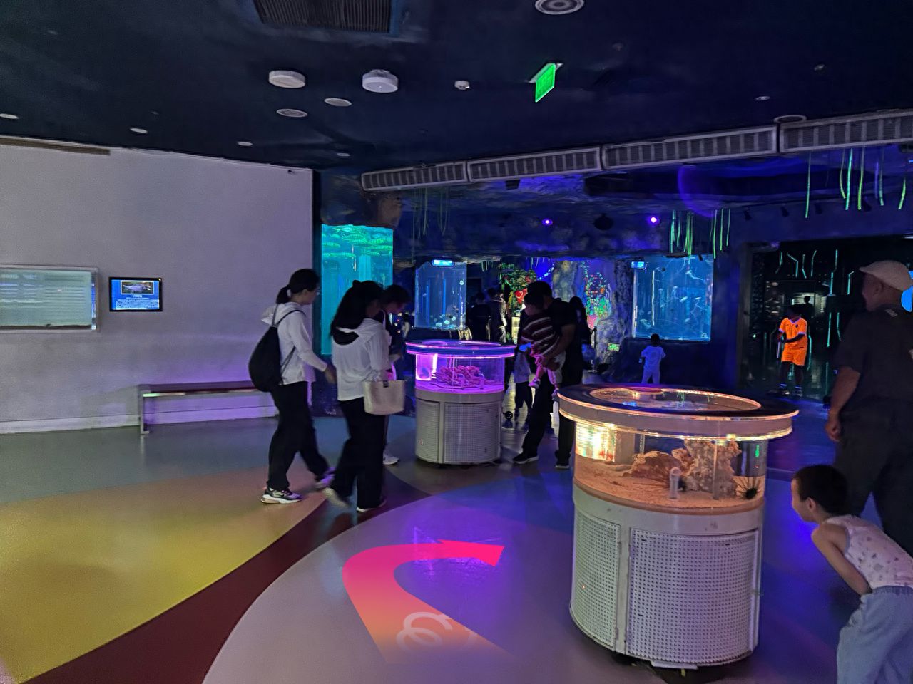 null — step-by-step photo guide