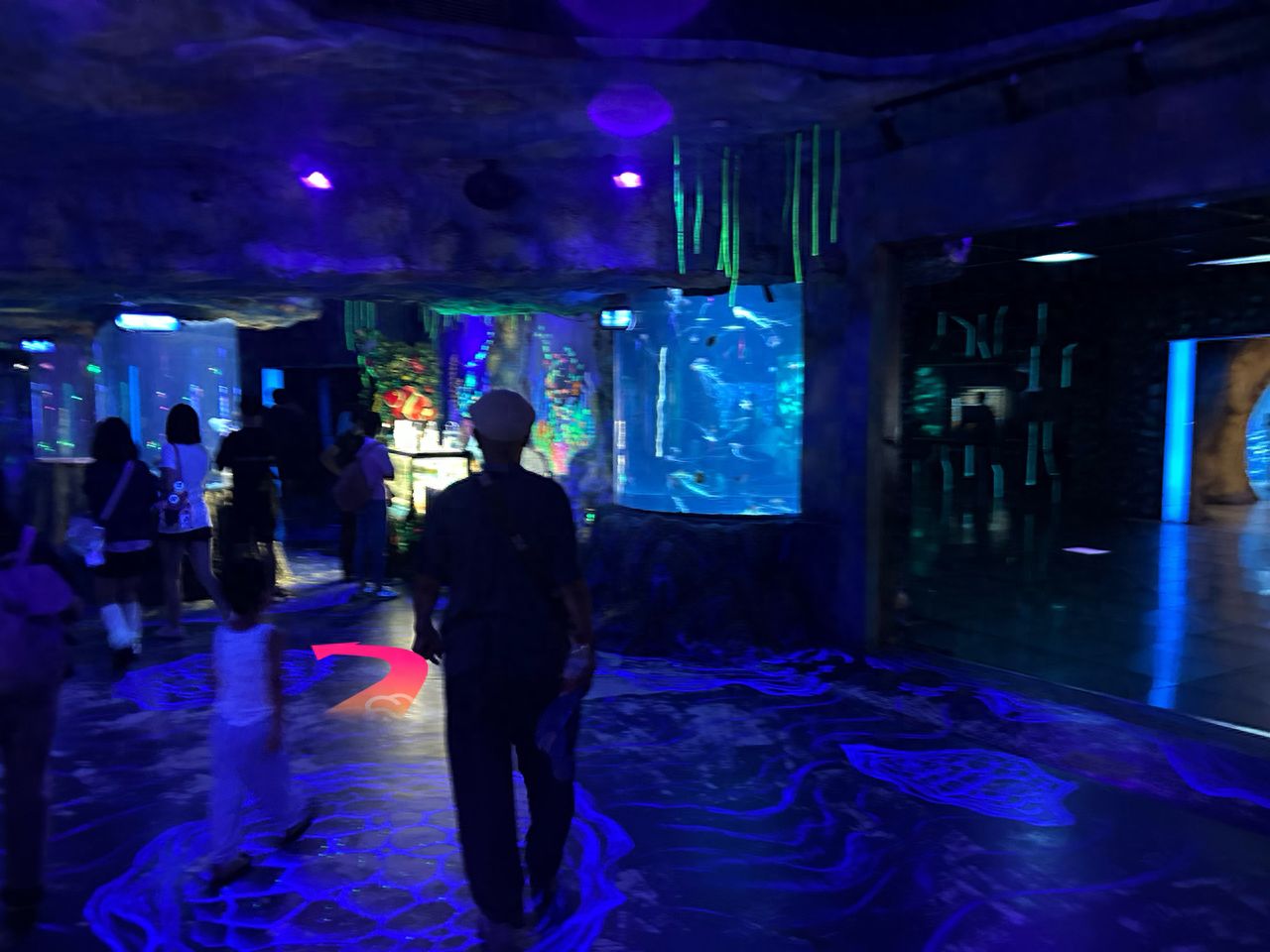 null — step-by-step photo guide