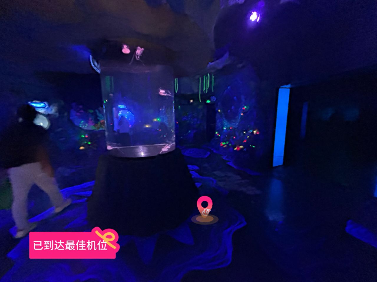 null — step-by-step photo guide