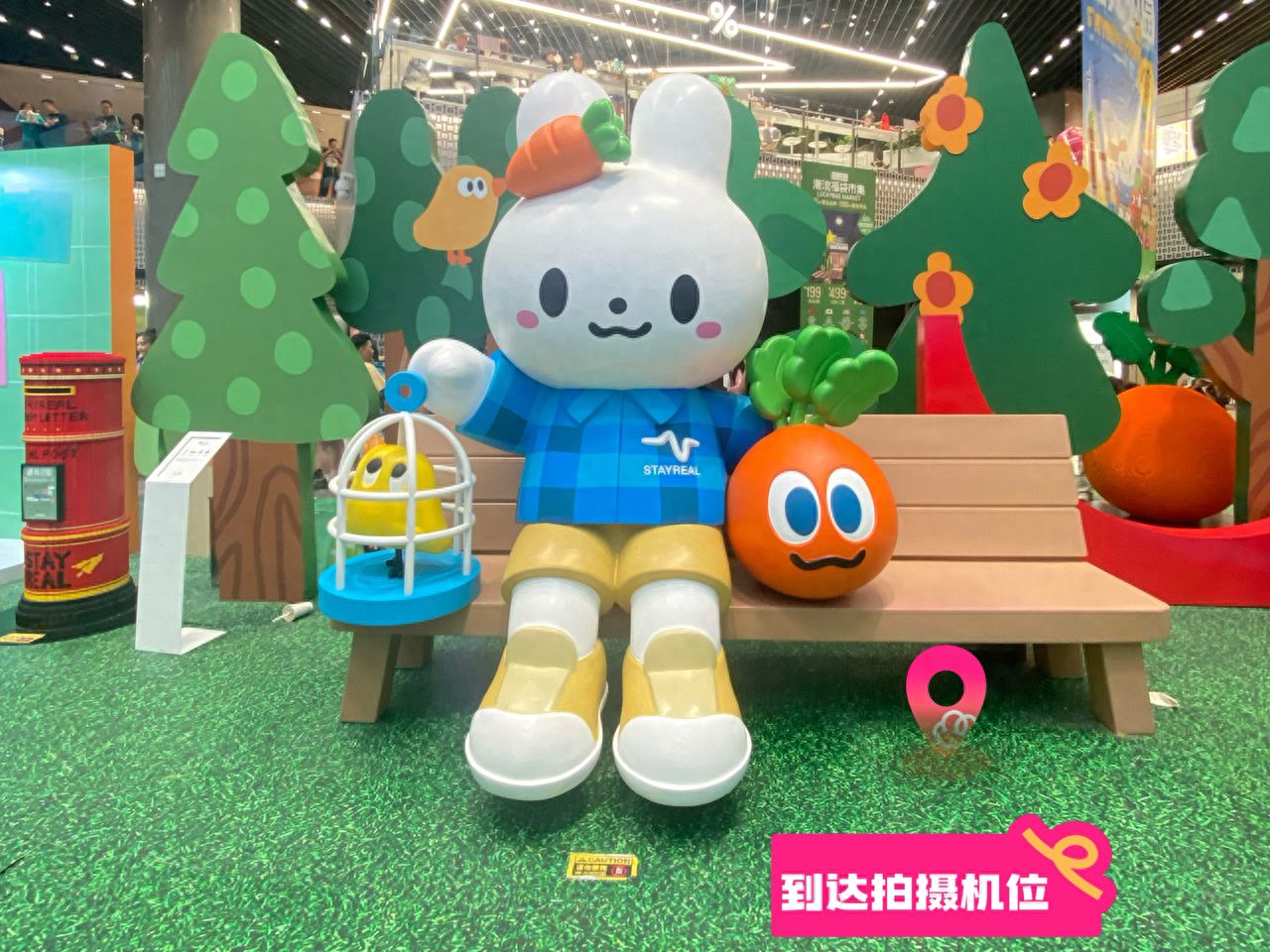 null — step-by-step photo guide