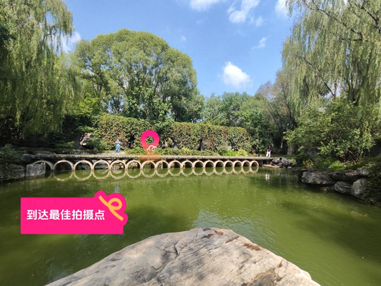 null — step-by-step photo guide