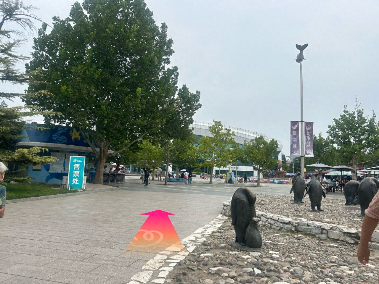 null — step-by-step photo guide