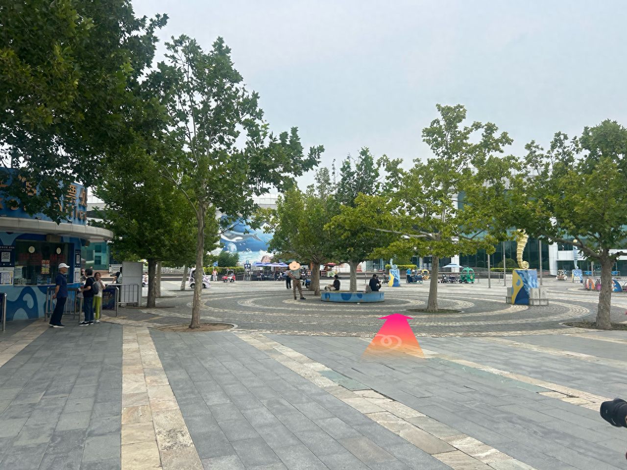 null — step-by-step photo guide