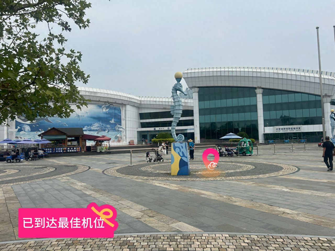 null — step-by-step photo guide