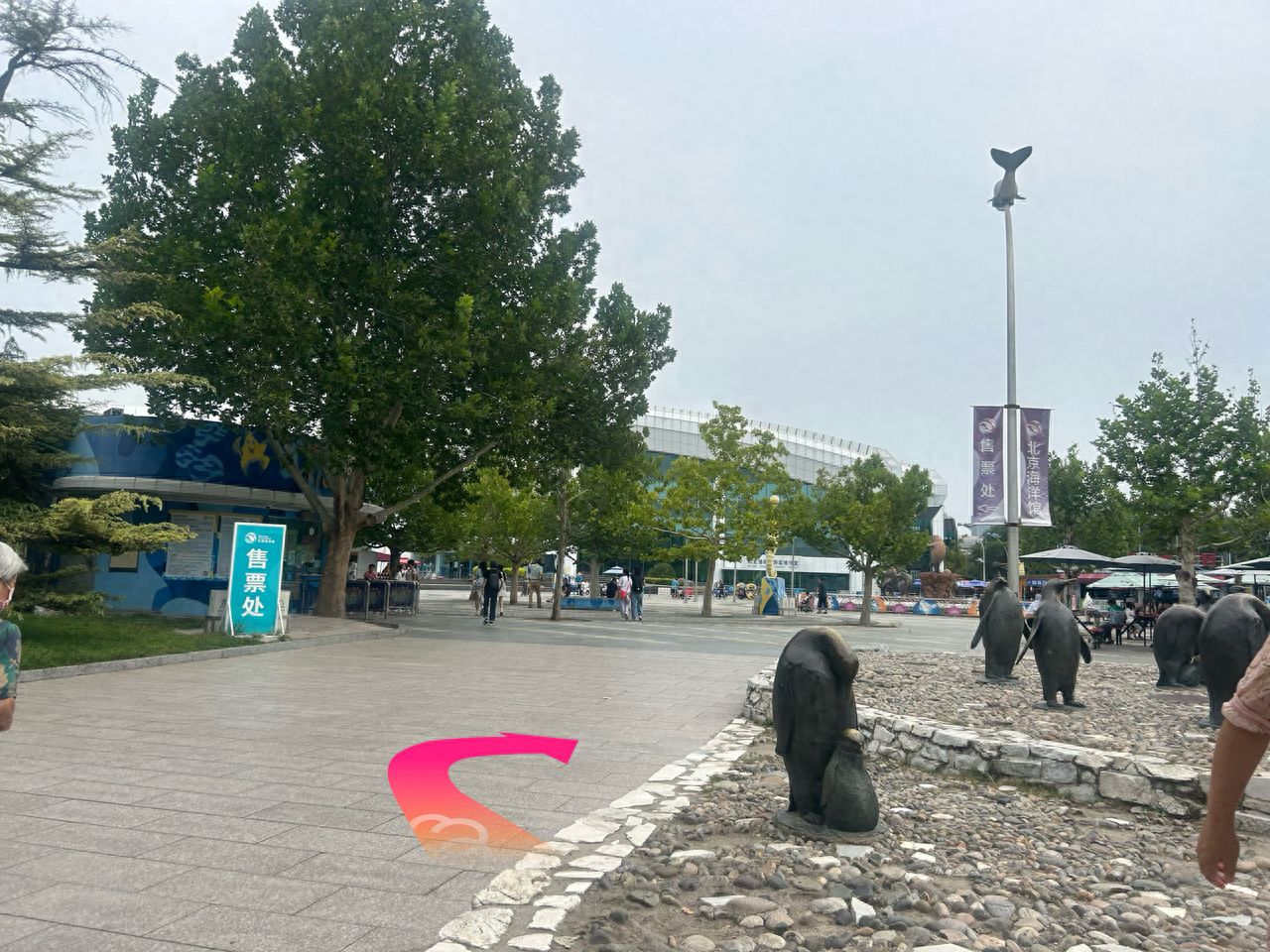 null — step-by-step photo guide