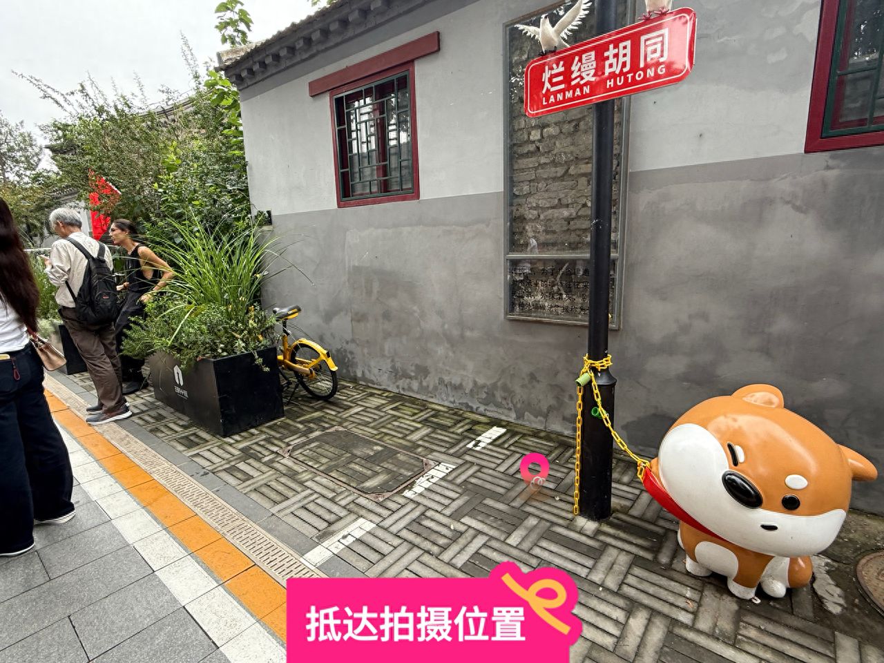 null — step-by-step photo guide