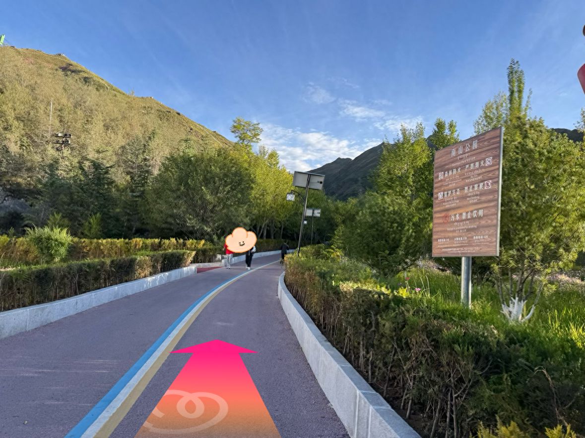 null — step-by-step photo guide