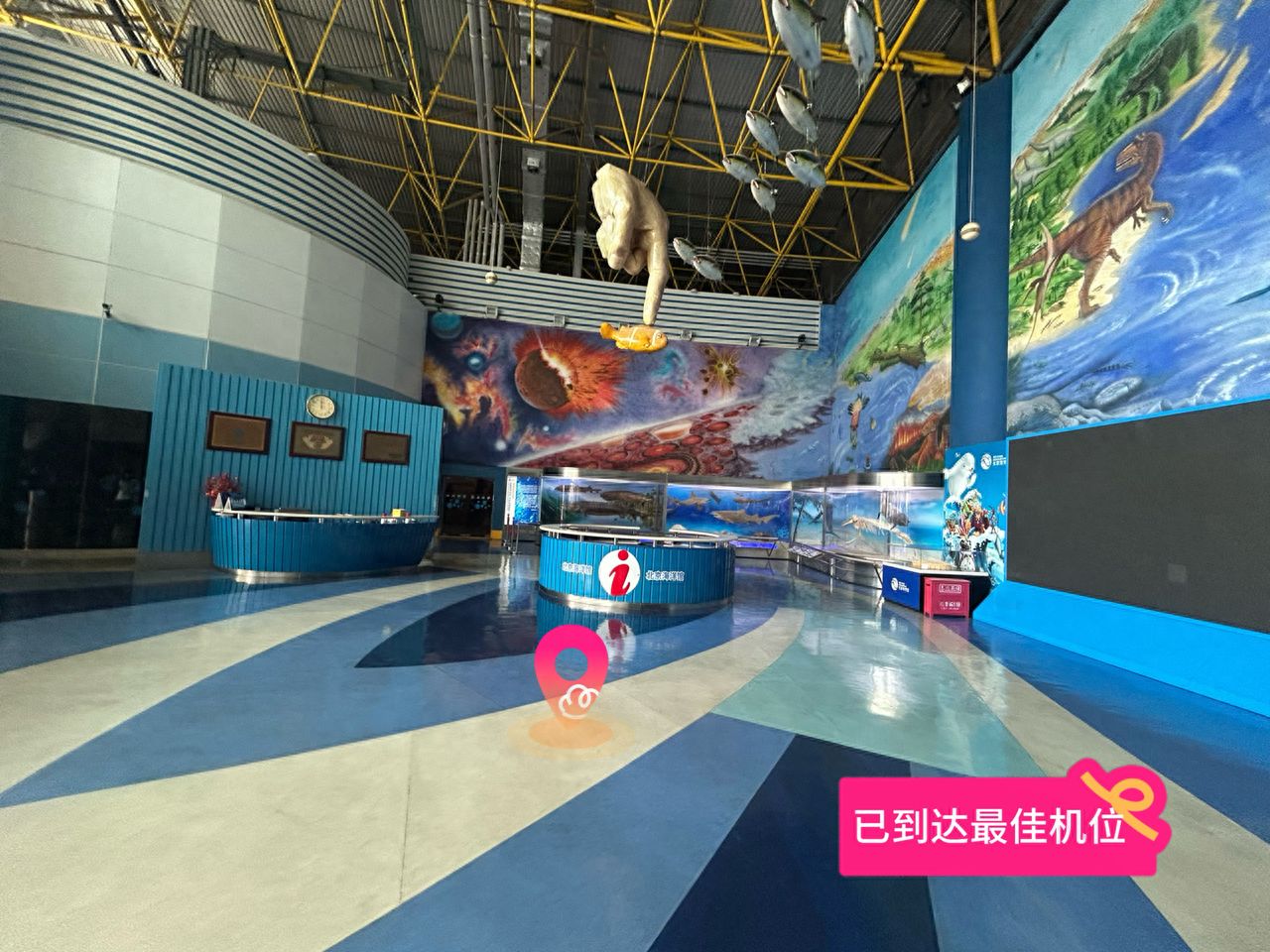 null — step-by-step photo guide