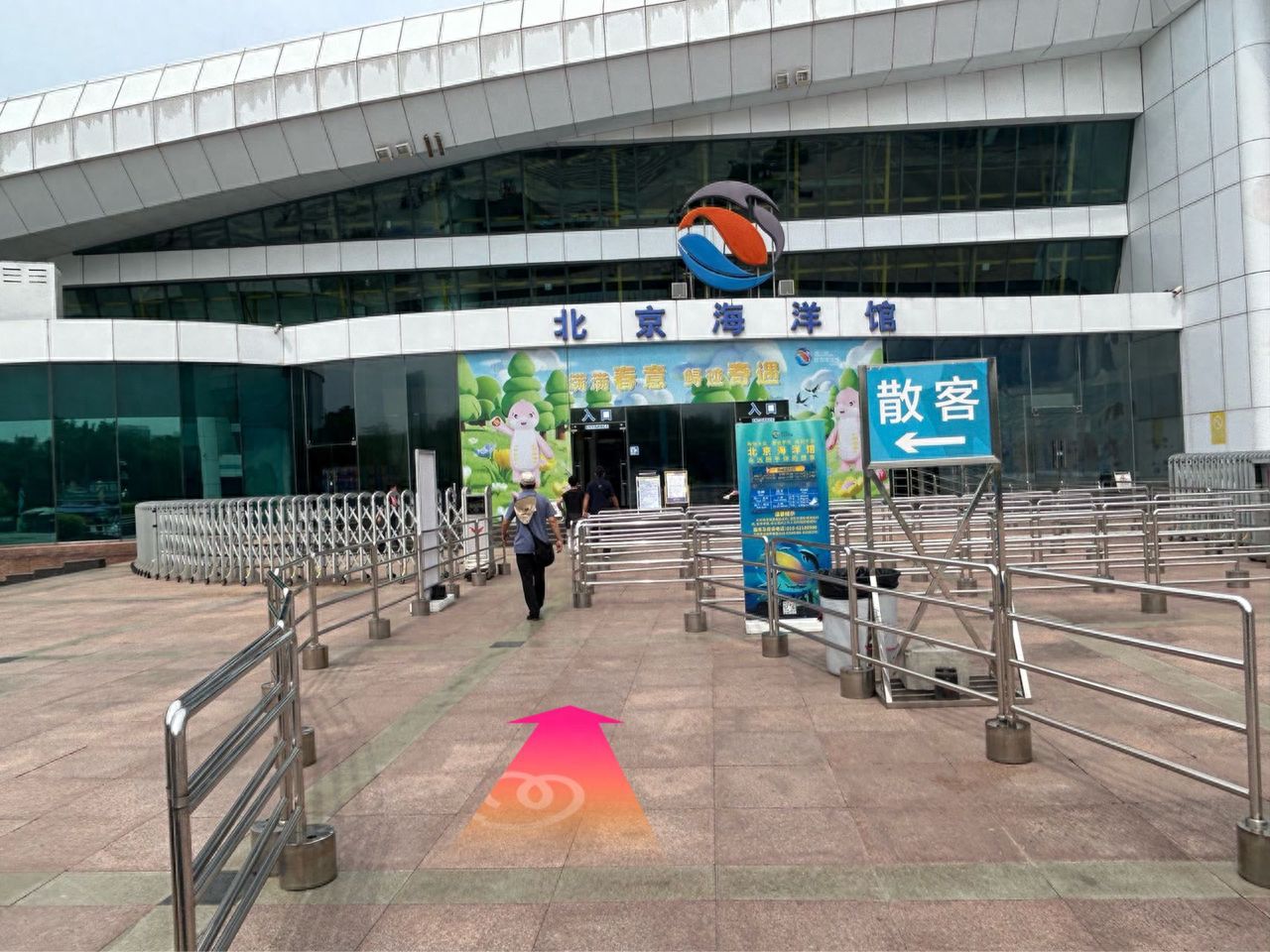 null — step-by-step photo guide