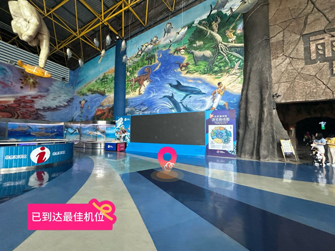 null — step-by-step photo guide