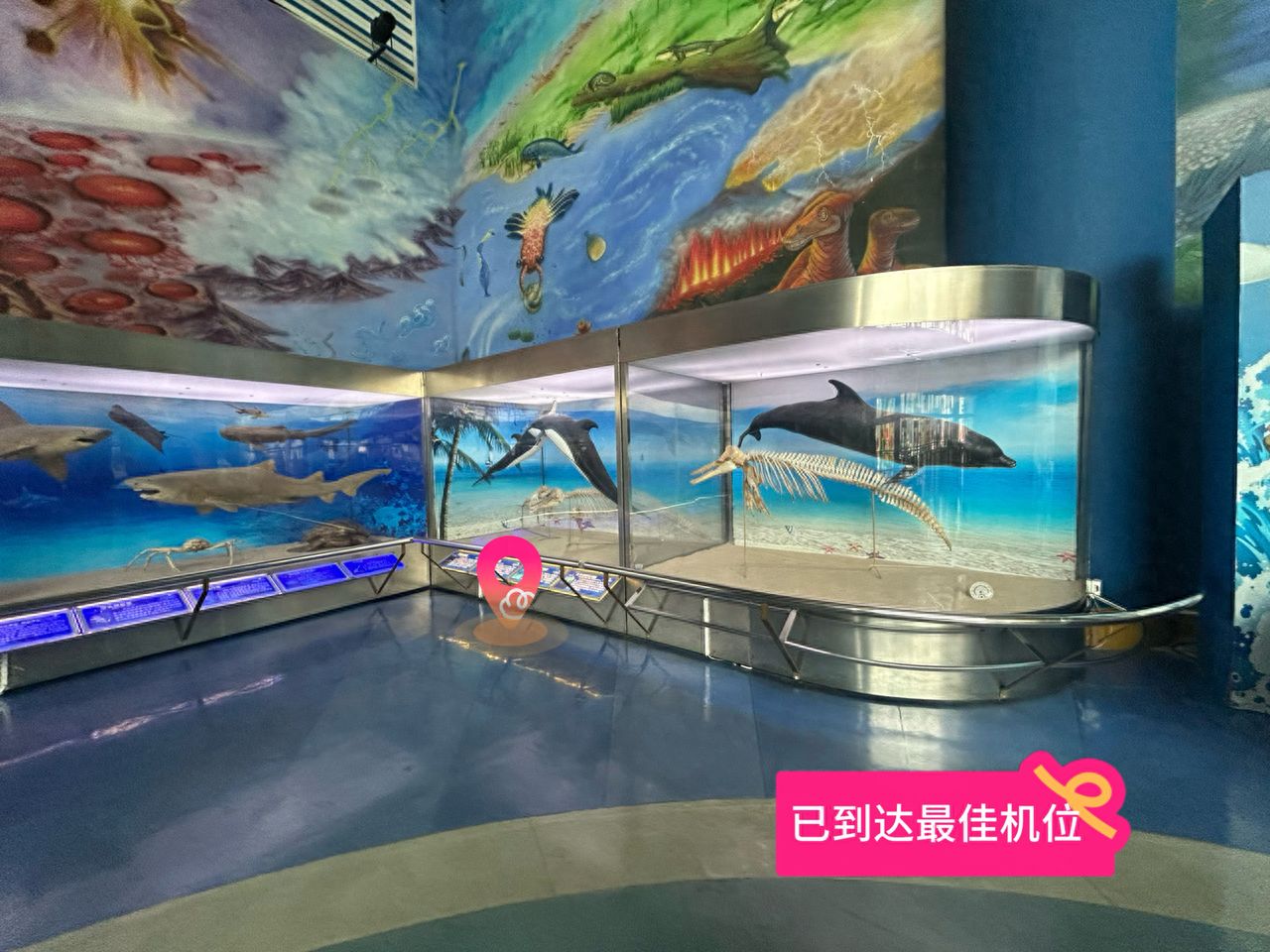 null — step-by-step photo guide