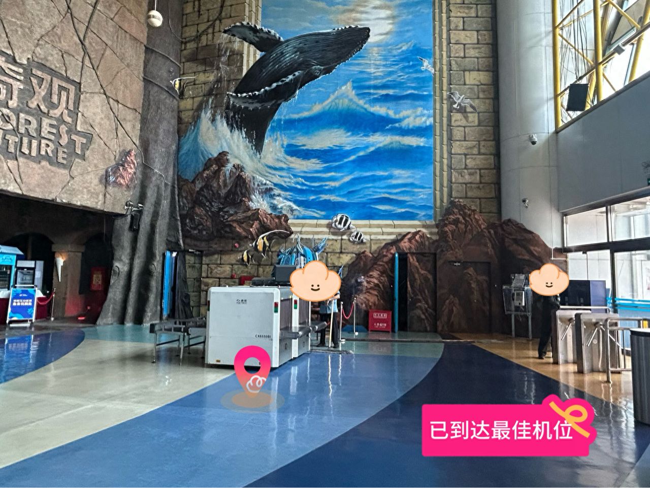 null — step-by-step photo guide