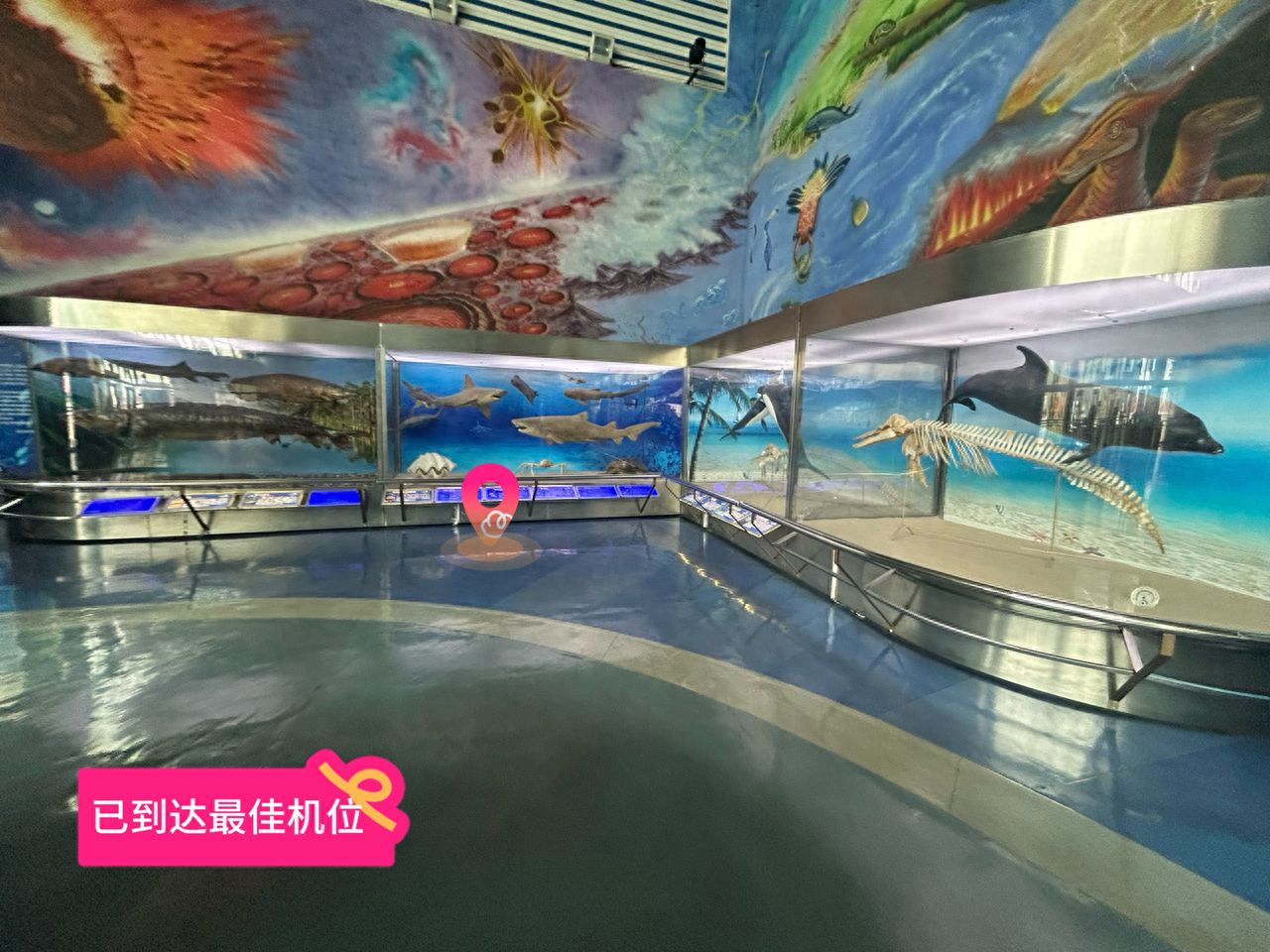 null — step-by-step photo guide