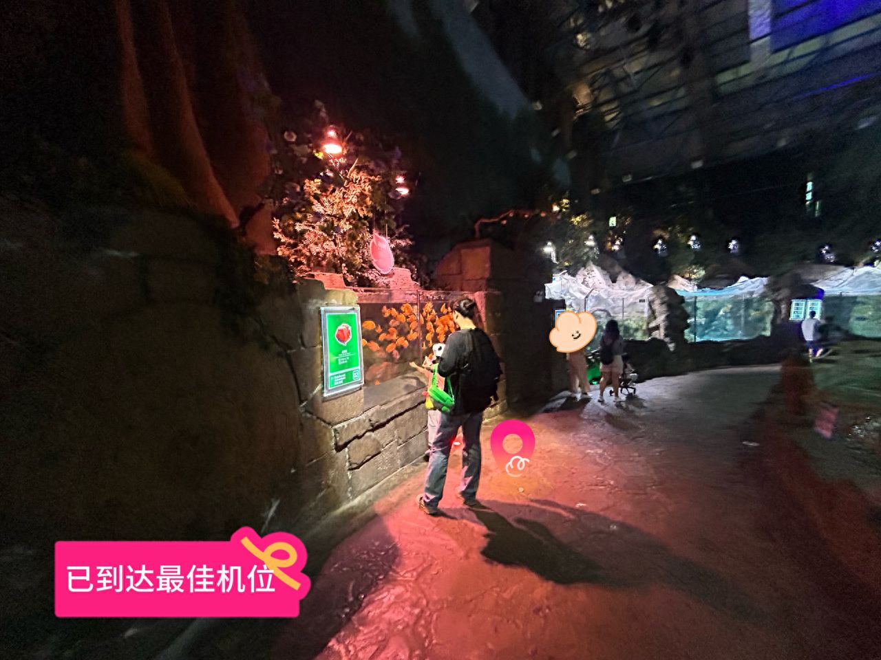 null — step-by-step photo guide