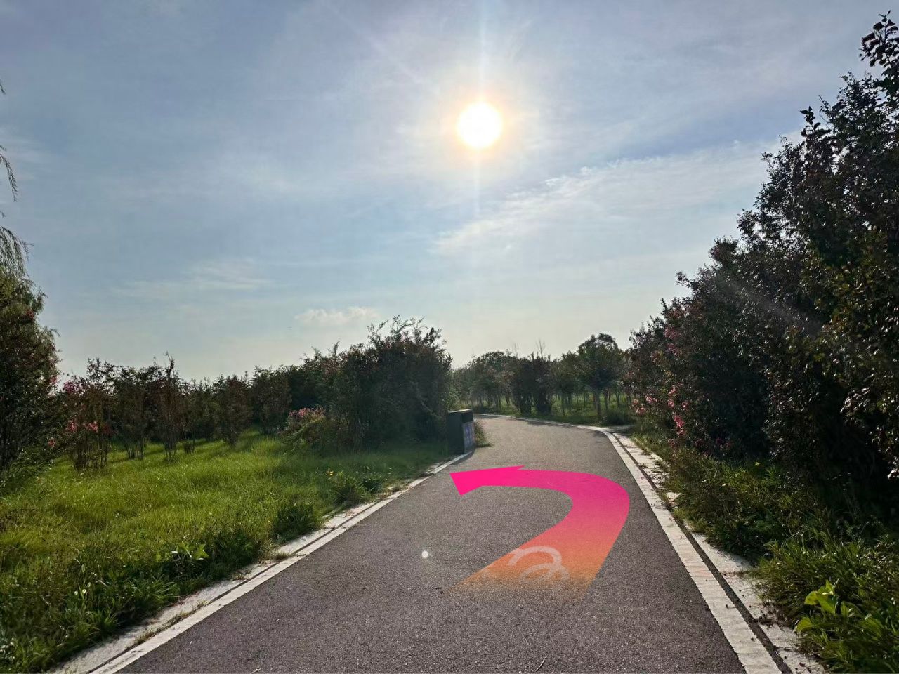 null — step-by-step photo guide