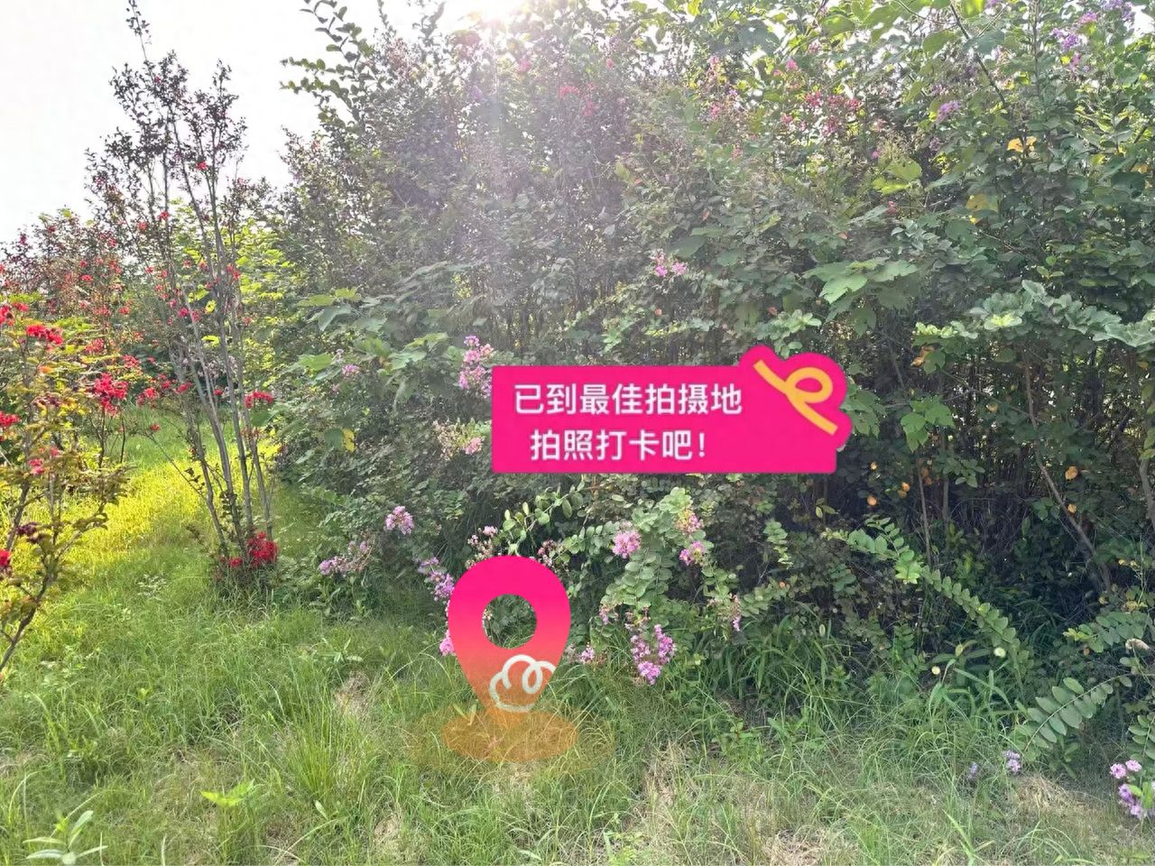 null — step-by-step photo guide