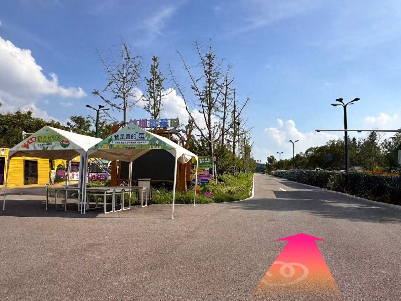 null — step-by-step photo guide